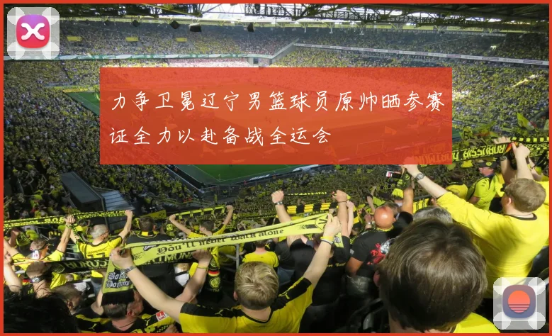 力争卫冕辽宁男篮球员原帅晒参赛证全力以赴备战全运会