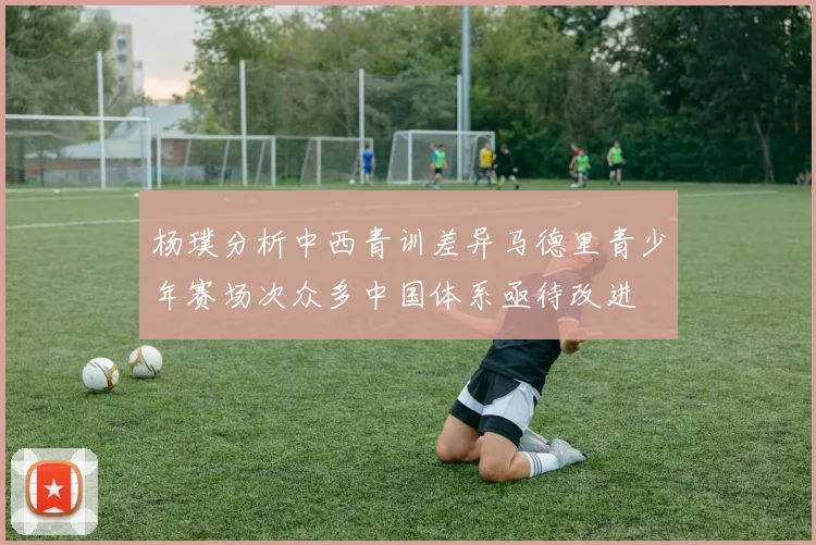杨璞分析中西青训差异马德里青少年赛场次众多中国体系亟待改进
