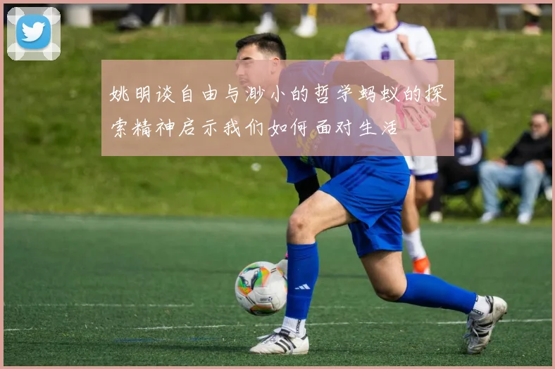 姚明谈自由与渺小的哲学蚂蚁的探索精神启示我们如何面对生活